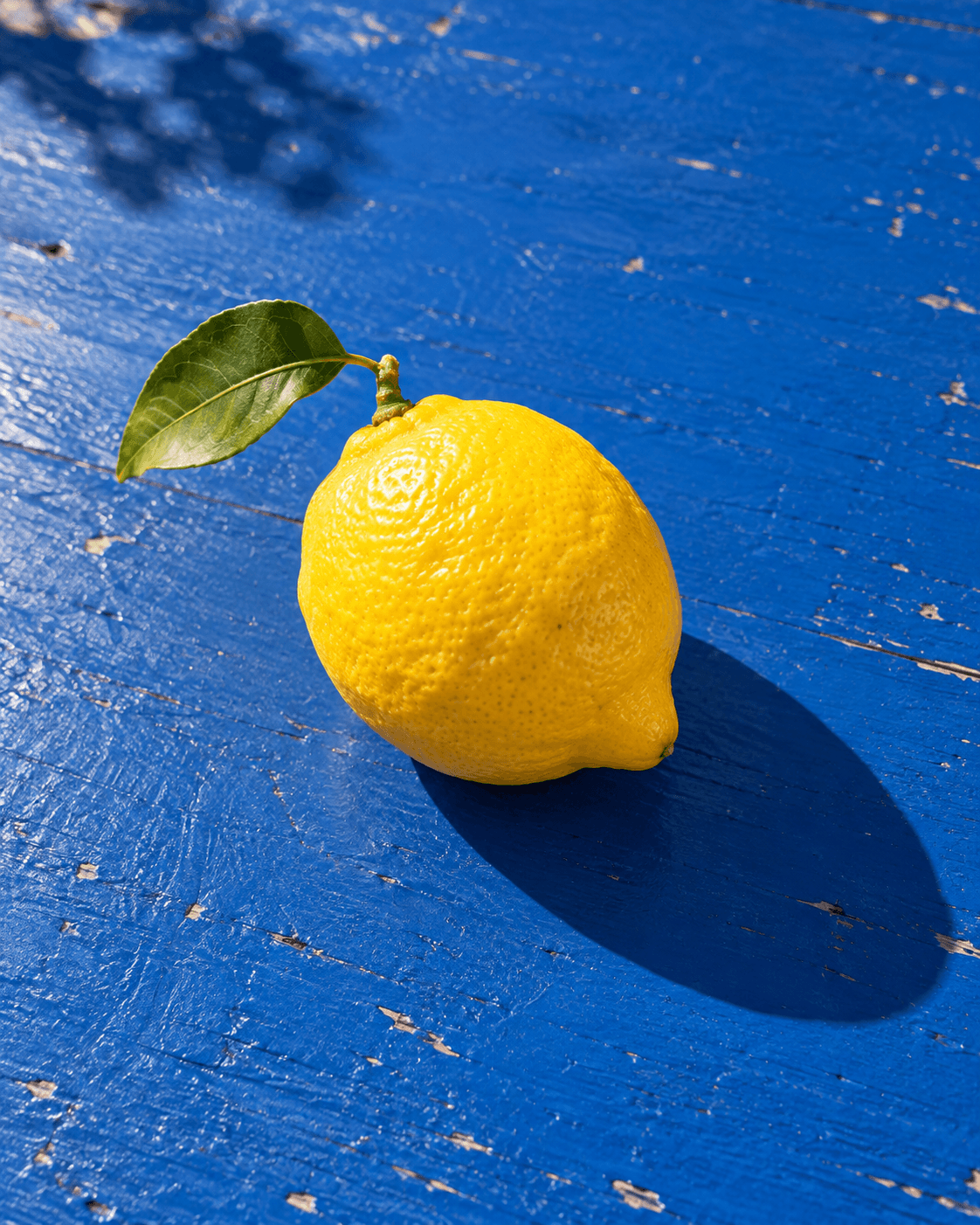 A bright yellow lemon catching the sunshine on a blue table